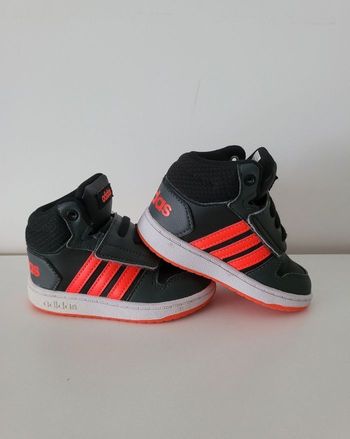 Baskets montante Adidas