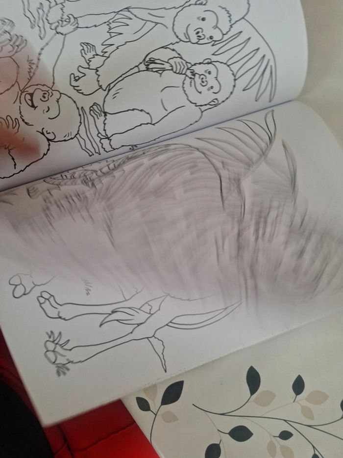 #cahier de coloriage - photo numéro 6