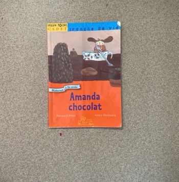 Livre à panda chocolat 