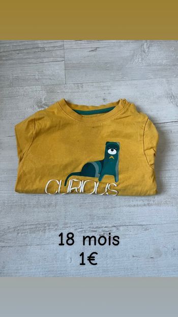 Haut léger manches  longues  18 mois
