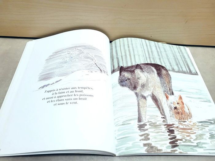 🌺 Livre (école des loisirs) : Le loup rouge - photo numéro 3