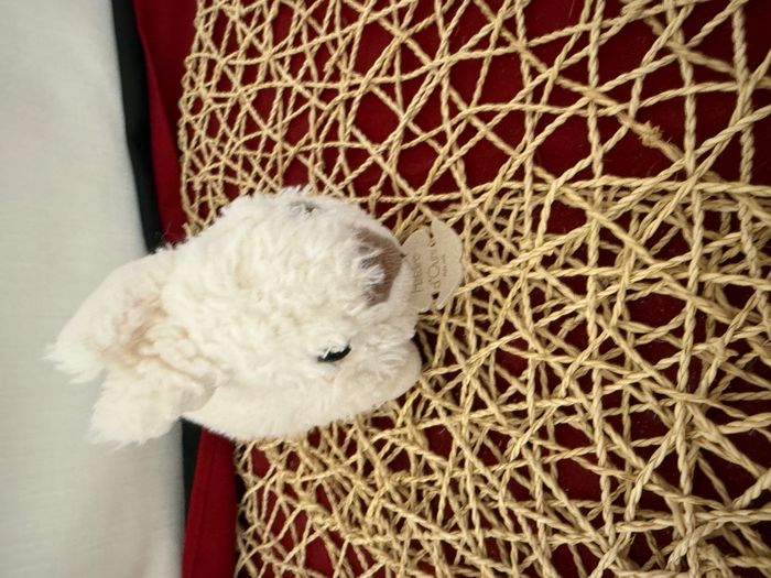 Doudou lapin blanc HISTOIRE D'OURS - photo numéro 6