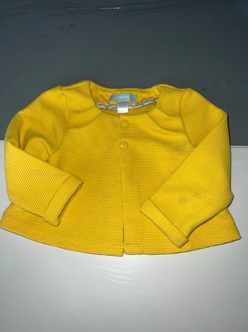 Gilet