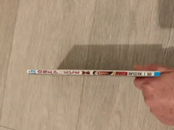 Tome des films one piece en japonais - photo numéro 11
