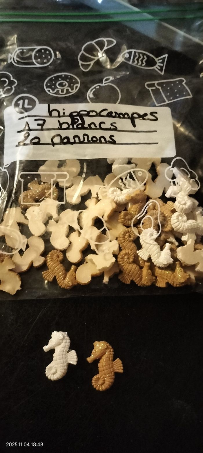 Lots de 37 hippocampe