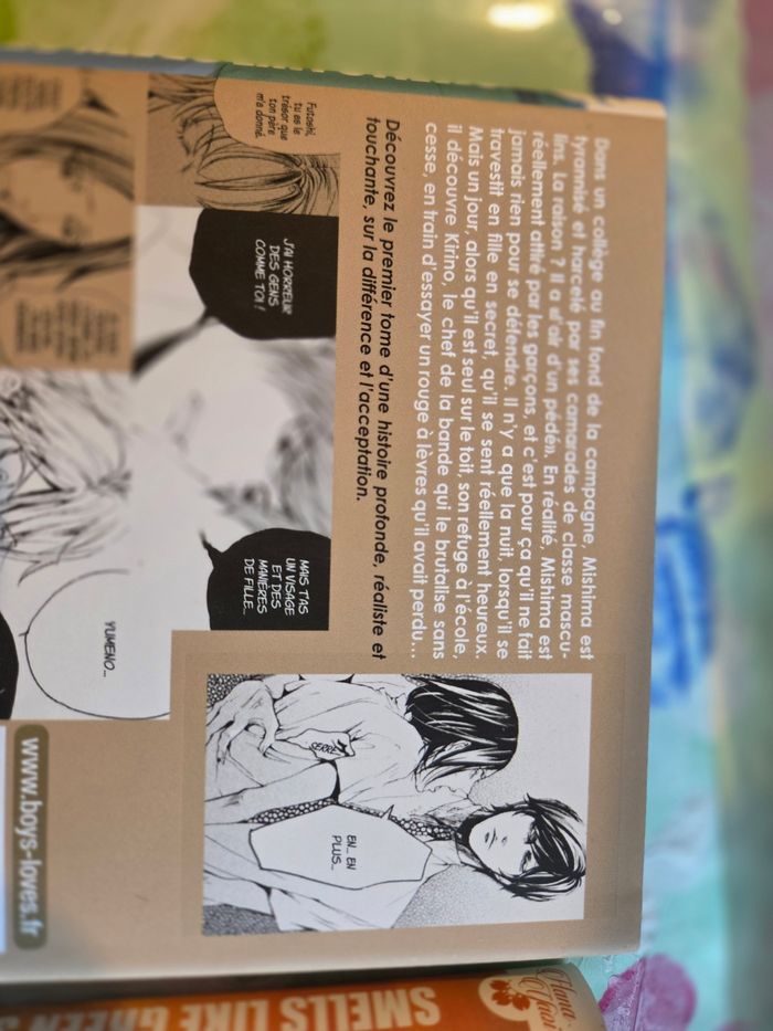 Manga yaoi smells lire Green spririt - photo numéro 3