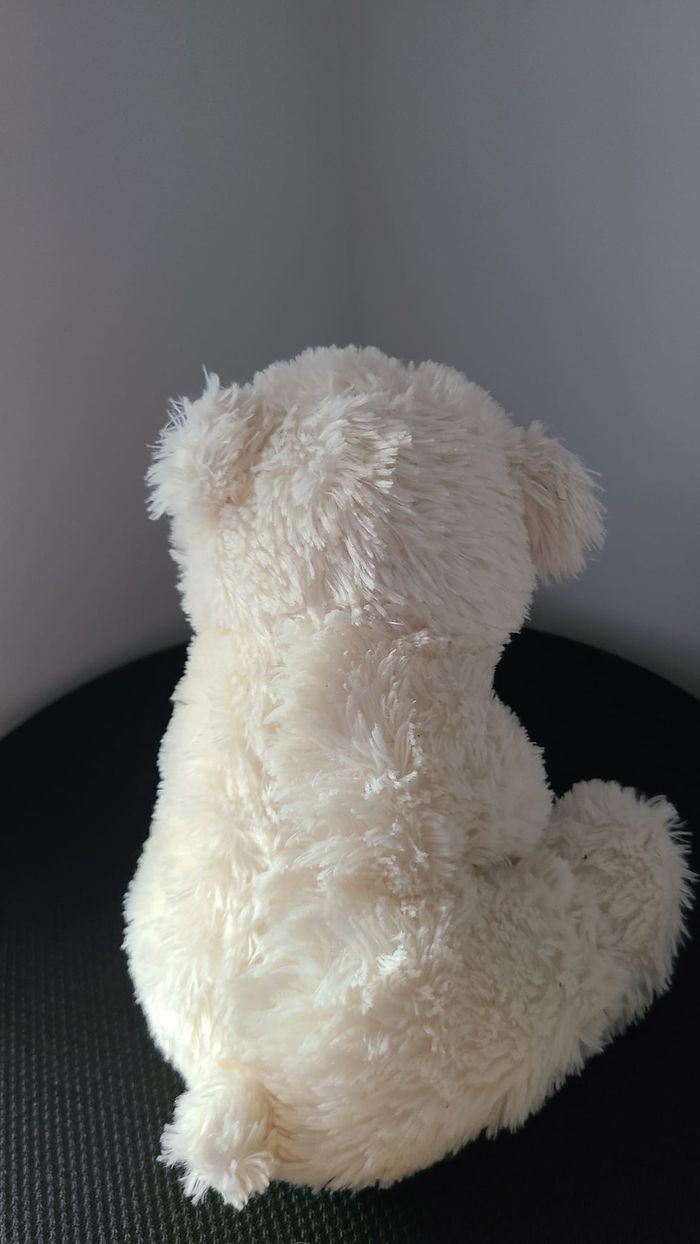 doudou ours - photo numéro 6