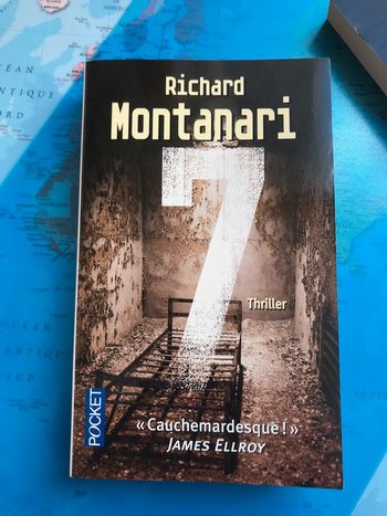 7 - Richard Montanari - Pocket