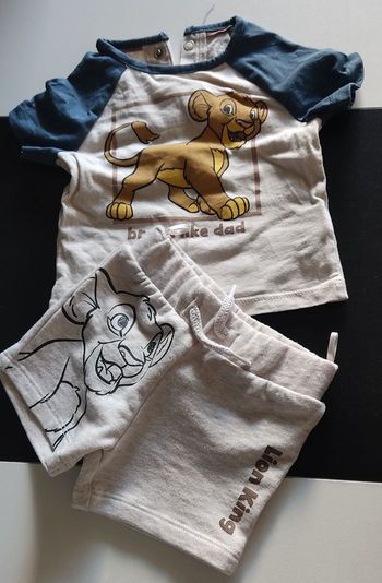 Ensemble simba