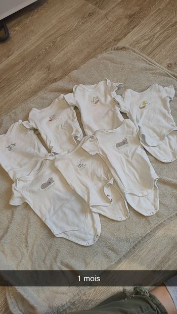 Bodddy manches courtes