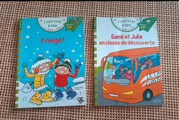 Lot 2 livres lecture sami et julie