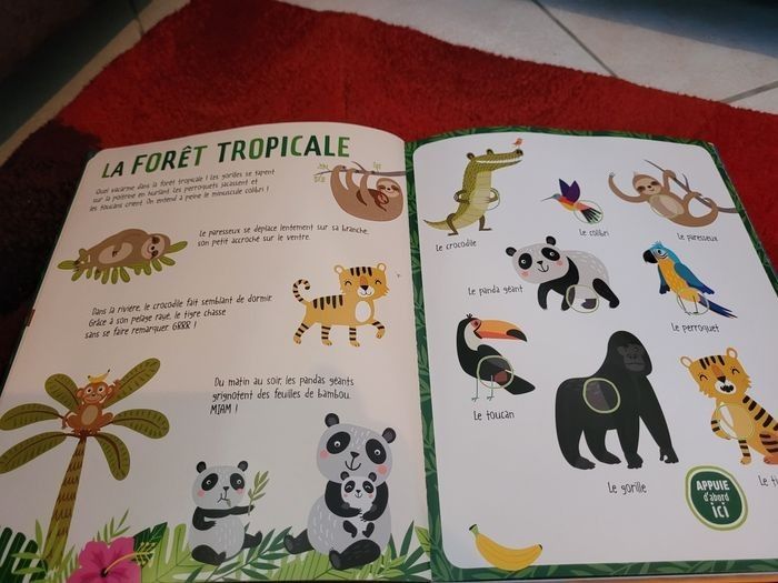 Lot livres musicaux - photo numéro 5