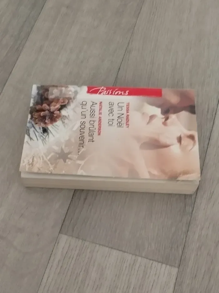 2en1 romans inédits Un noël avec toi et Aussi brûlant qu'un souvenir - photo numéro 2