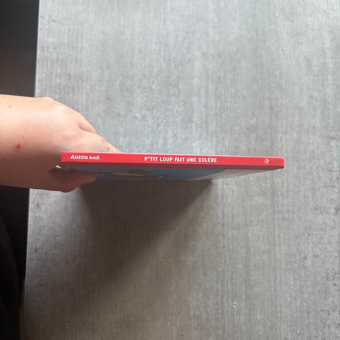 Petit loup fait une colère - photo numéro 2