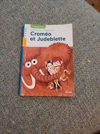 Livre cromeo et judeblette