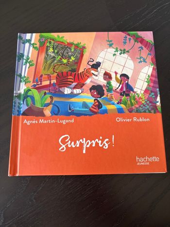 Livre McDo  collection le musée magique