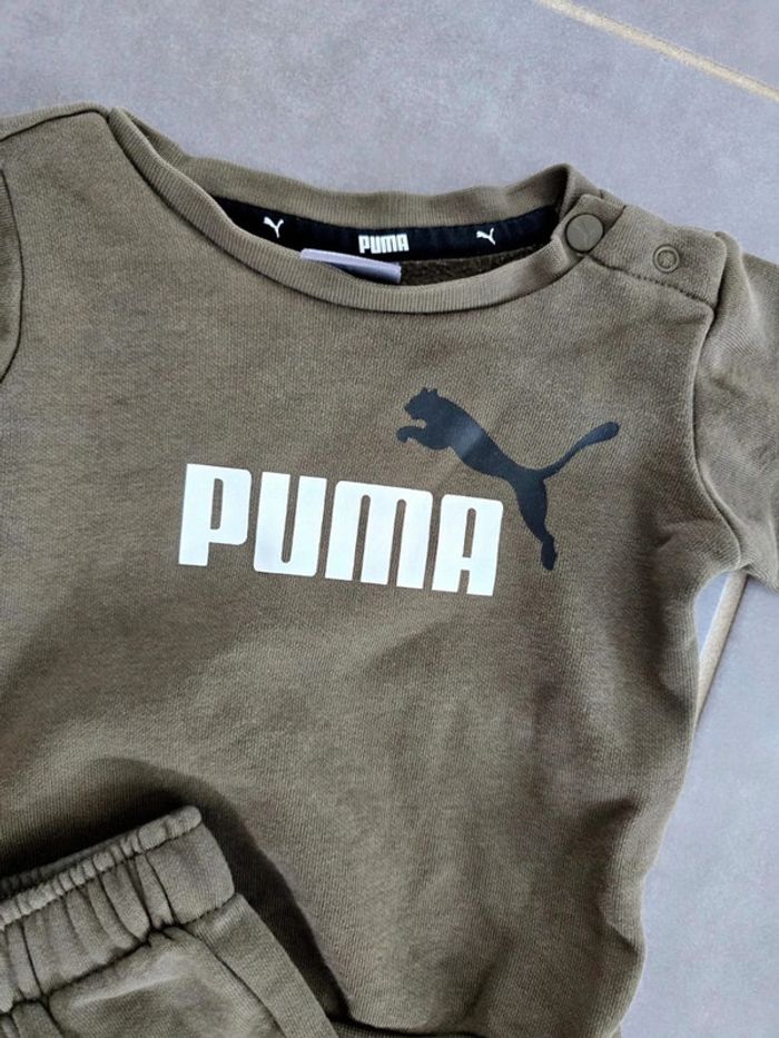 Ensemble Puma kaki - photo numéro 2