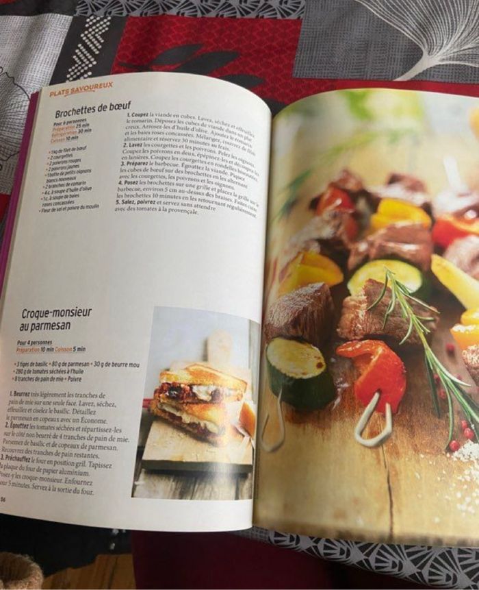Best of gourmand : 100 recettes simples - photo numéro 3