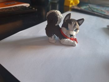 Tonies husky