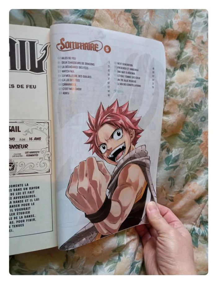 Mangas fairy taille l'intégrale tome 5 - photo numéro 8
