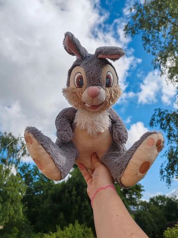 Peluche panpan Disneyland Paris