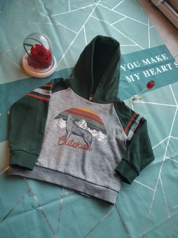 Sweat à capuche motif loup