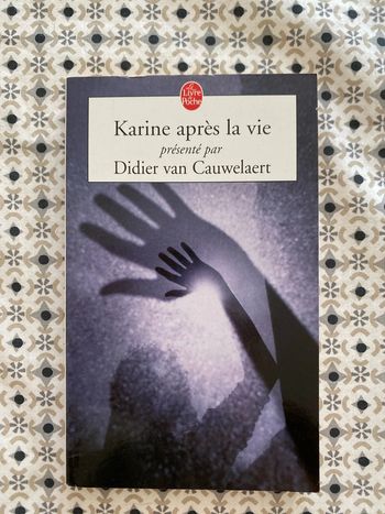 Karine après la vie Didier Van Cauwelaert