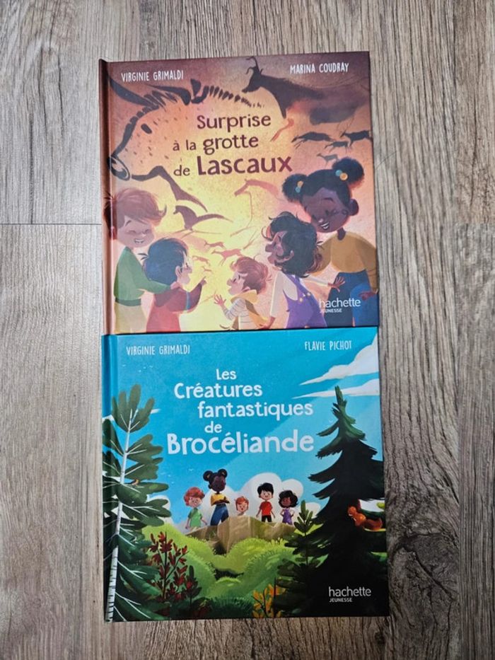 Livres Merveilles de France 🌲