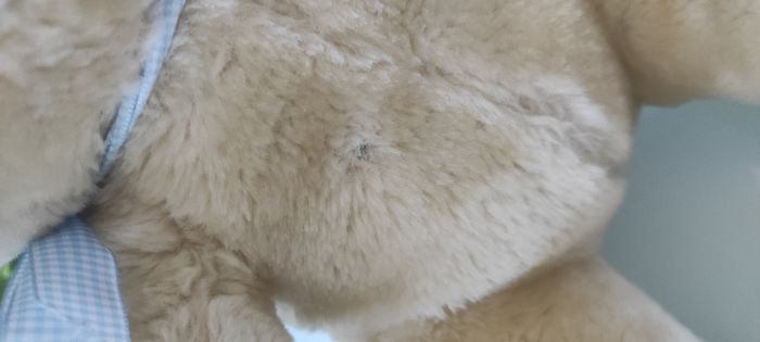 Peluche - photo numéro 3