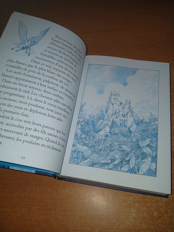 Chroniques perchées du bois magique - photo numéro 6