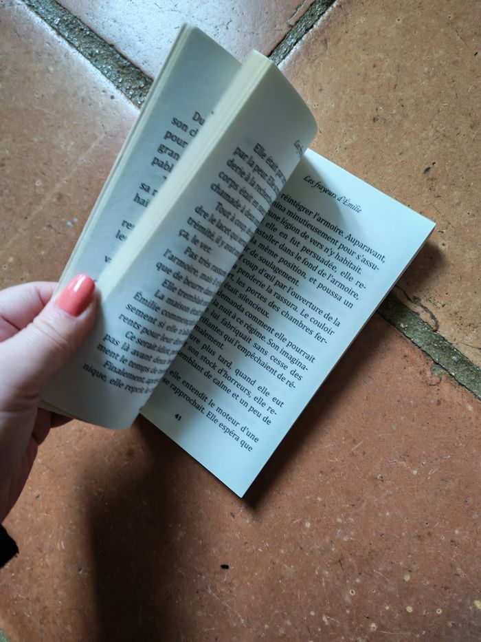 Les Frayeurs d'Emilie, livre de Franck Schmid - photo numéro 3