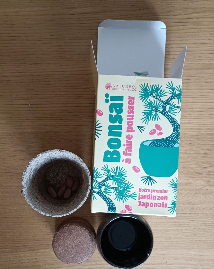 NEUF : Kit bonsaï à faire pousser Nature & Découverte - photo numéro 6