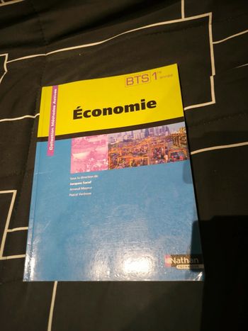 Manuel Économie