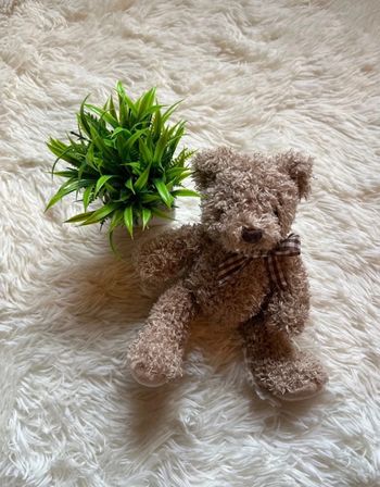 Peluche ourson