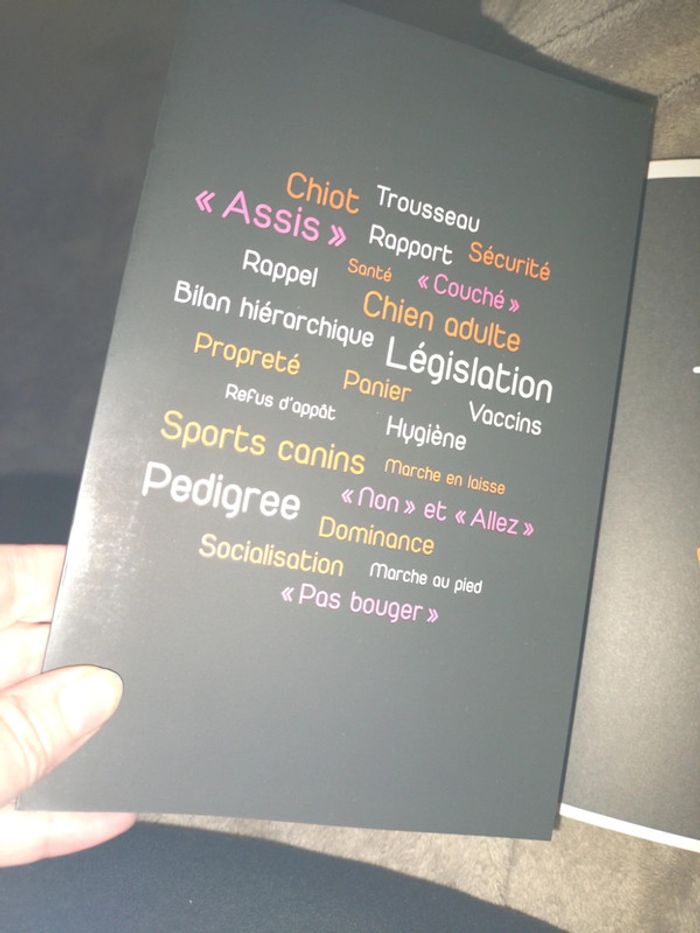 J' éduqué l'on chien en un week end - photo numéro 6