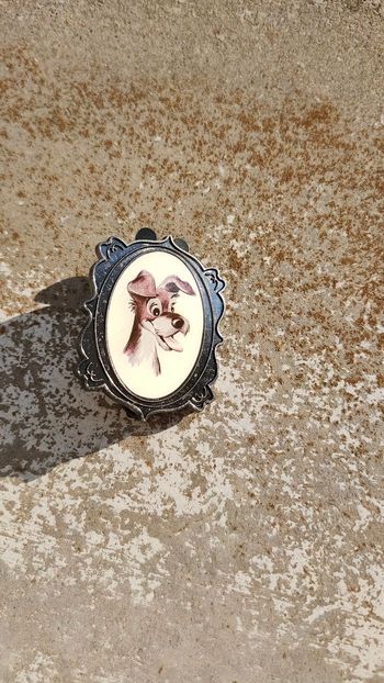 Pins la belle et le clochard