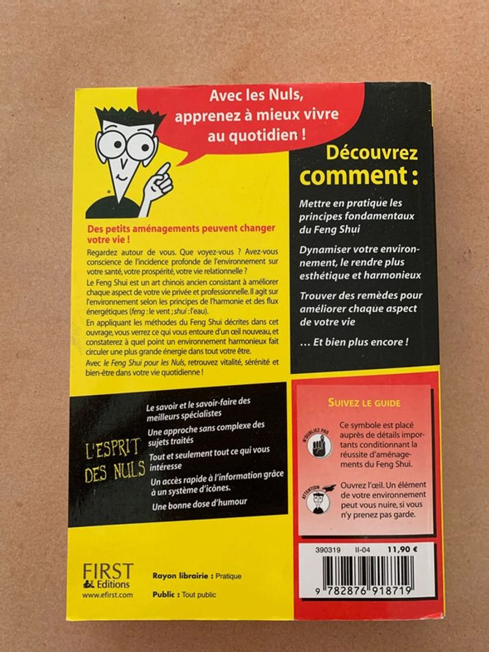 Feng Shui pour les Nuls - photo numéro 2
