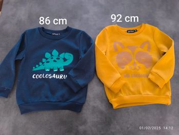 Lot de pull