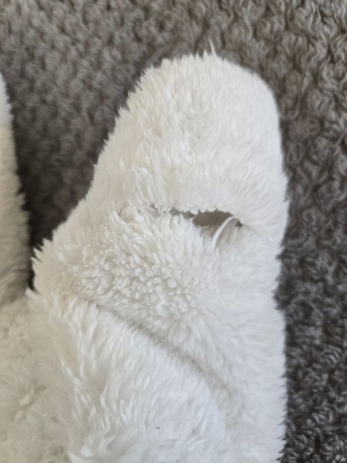 Combi pilote - photo numéro 4