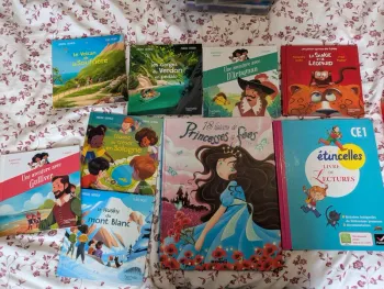 Lot livres premières lectures