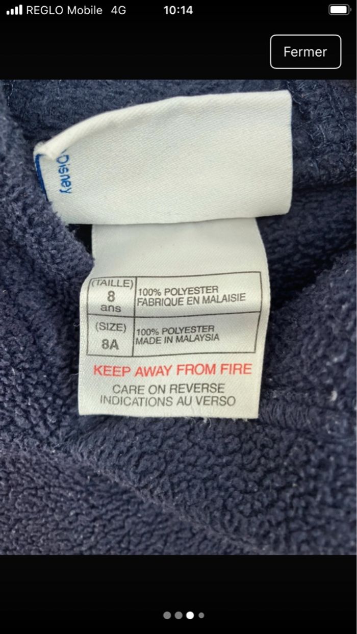 Pull chaud Disney land Paris - photo numéro 4