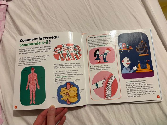 Livre Mes p’tites questions - Le cerveau - photo numéro 6