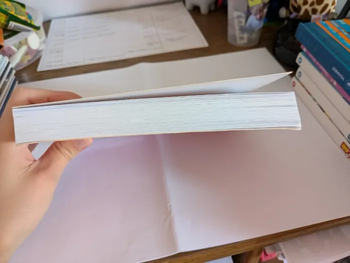 Livre Lucie et sa Licorne - photo numéro 5