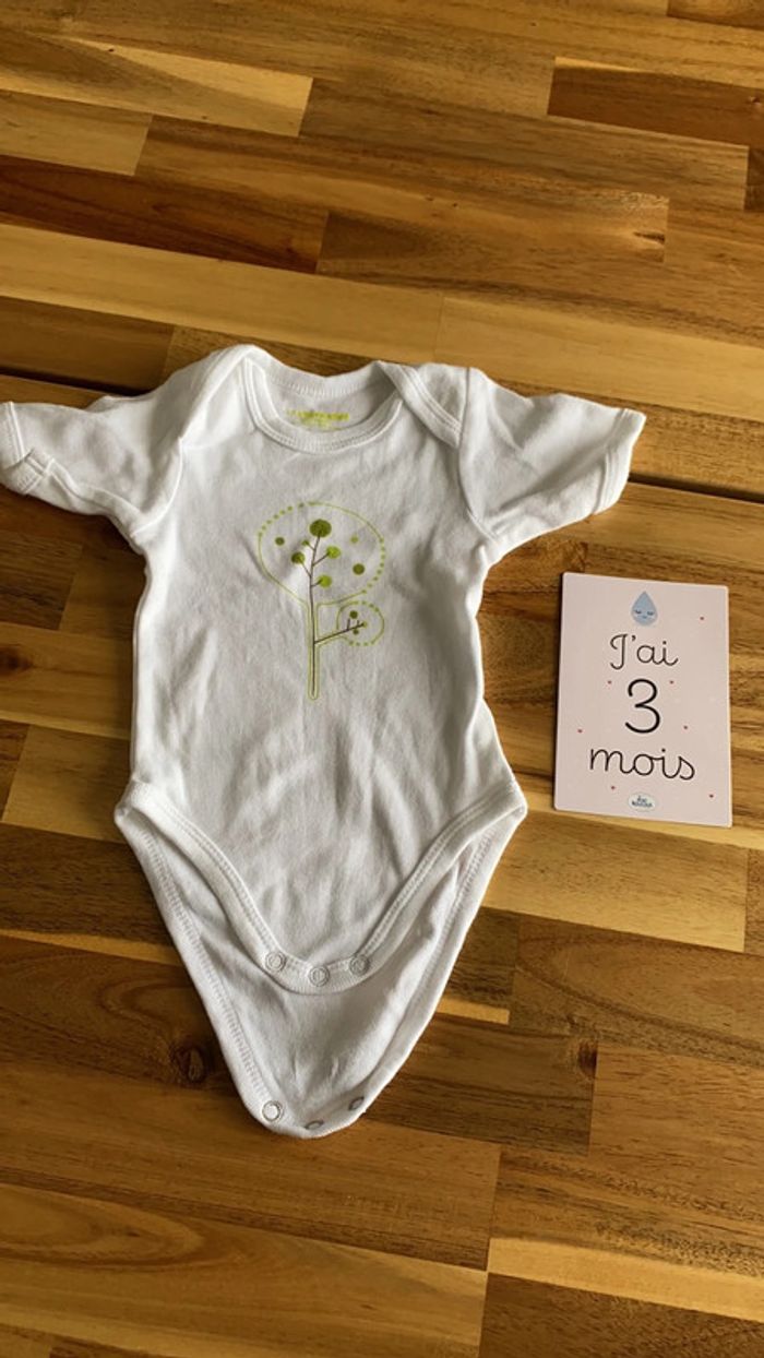 Lot de 6 bodys manches courtes - photo numéro 3