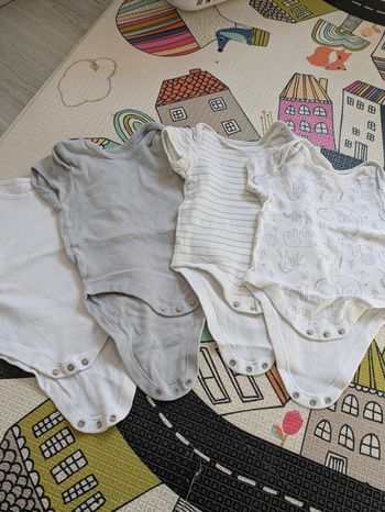 Bodies manches courtes