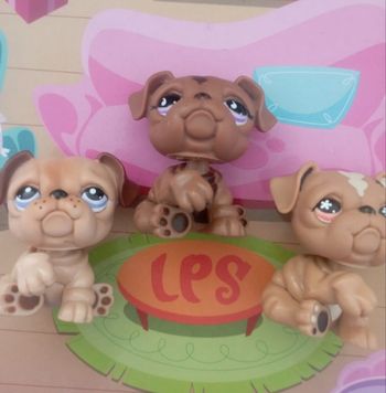 Lot petshop chien 