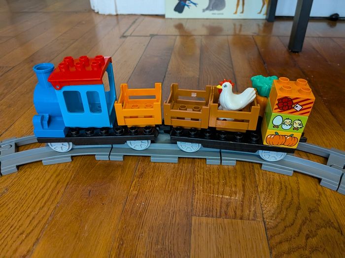 Train animaux + fleurs - photo numéro 2