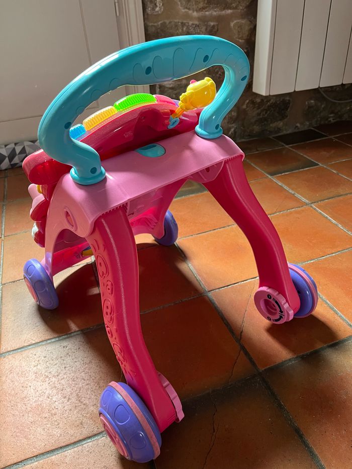 Trotteur - photo numéro 3