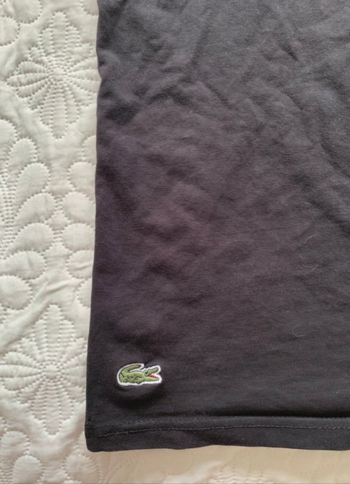 Teeshirt Lacoste - photo numéro 4