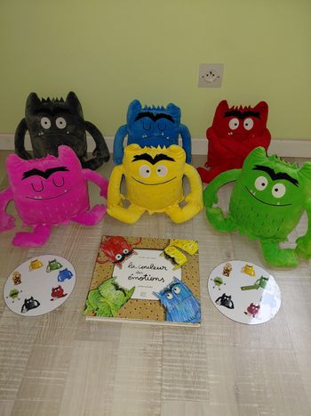 Lot la couleur des émotions peluche livre